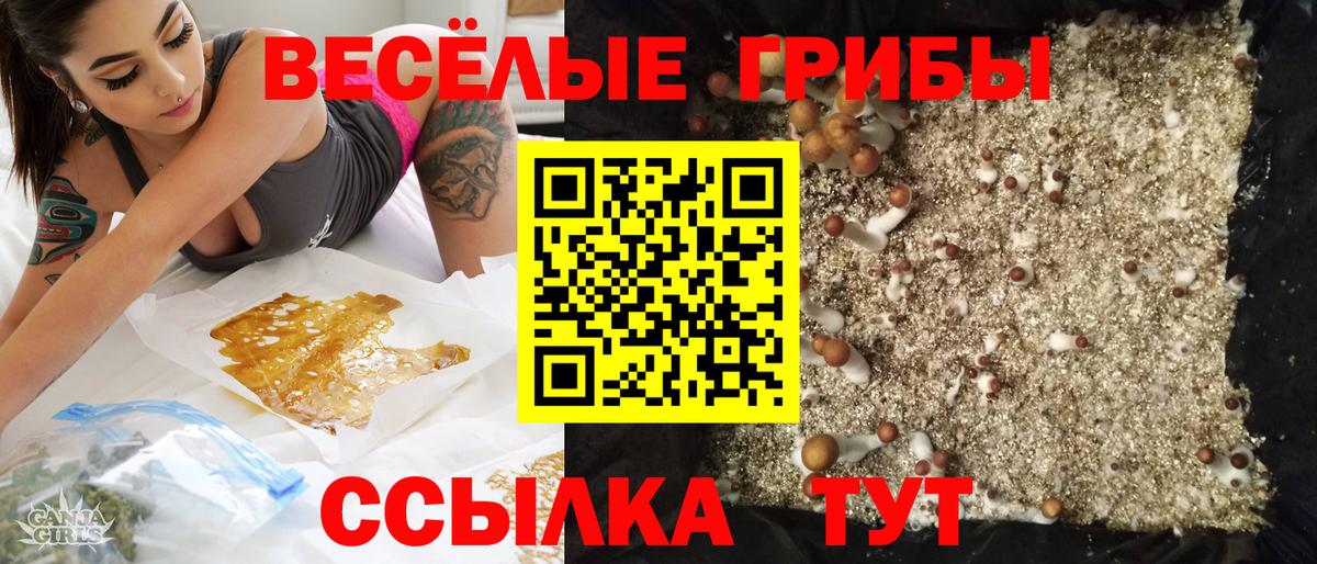Сочи  Галлюциногенные грибы ЛСД  Псилоцибиновые грибы Cubensis  Вход с VPN 